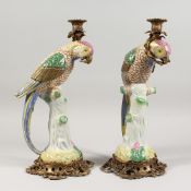 A GOOD PAIR OF PORCELAIN PARROT CANDLESTICKS with ormolu mounts. 16ins high.