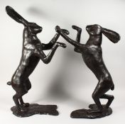 A VERY LARGE PAIR OF BRONZE BOXING HARES. 34ins high.