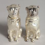 A PAIR OF PLATE SALT AND PEPPERS, dogs. 2.5ins.
