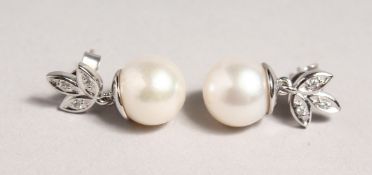 A PAIR OF PEARL AND DIAMOND DROP EARRINGS in 18ct white gold.