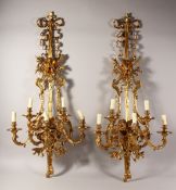 A SUPERB PAIR OF LARGE BRONZE FIVE LIGHT WALL SCONCES with scrolling arms and ribbon motifs. 46ins