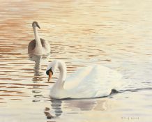 MICHAEL WOOD Swans. Signed, oil on canvas. 16ins x 20ins.