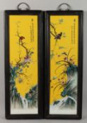 A PAIR OF CHINESE PORCELAIN PLAQUES, yellow ground with birds and flowers. 28ins x 8ins.