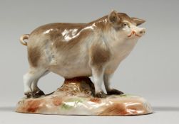 A SAMSON PORCELAIN PIG 5ins long.