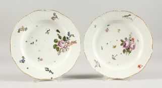 A PAIR OF 19TH CENTURY MEISSEN CIRCULAR PLATES, painted with flowers 9ins diameter.