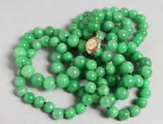 A DOUBLE ROW OF ONE HUNDRED AND TWENTY JADE BEADS with gold clasp.