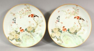 A VERY GOOD PAIR OF REPUBLIC CIRCULAR DISHES, painted with birds, chrysanthemums and calligraphy,