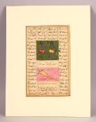 AN INDIAN CALLIGRAPHIC ILLUMINATED MANUSCRIPT PAGE, mounted, unframed, 27cm x 20.5cm overall.