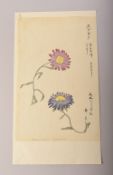 TWO JAPANESE MEIJI / TAISHO PAINTINGS OF FLOWERS ON PAPER, signed, image 27cm x 18cm and 28cm x 18.