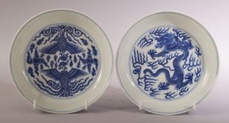 A PAIR OF CHINESE BLUE AND WHITE PORCELAIN DISHES, one painted with a dragon, the other with