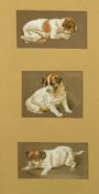 Late 19th Century British, three studies of a puppy in various poses, watercolour, initialed 'C.