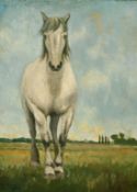20th Century School, standing horse in an open field, oil on canvas, 16