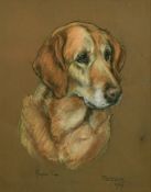 Marjorie Cox (20th Century) A study of a dog's head, pastel, signed and inscribed, 'Peter 1965', 19