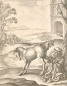 Wenceslaus Hollar (1607-1677), a collection of seven 17th Century engravings of Aesop's Fables,