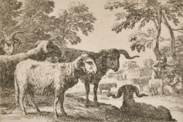 A collection of seven Old Master engravings featuring animals, along with a 19th Century Engraving
