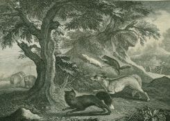 After Jean-Baptiste Oudry (1686-1755), 'La Merite Superficiel', 18th Century engraving, 14