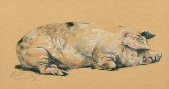 Malcolm Coward (b.1948) British, A sleeping pig, charcoal and watercolour/gouache, signed in pencil,
