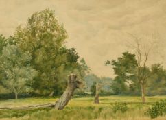 Norwich School 19th Century, Trees in a landscape, inscribed 'Thorpe Norwich' on the backing