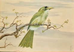 S Basu Roy Choudhury, A native Indian bird on a branch, watercolour, signed and dated 1961, 10