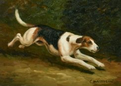 C. Harrison (20th Century), a pair of oil on panel scenes of dogs, signed, each 5