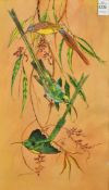 Roger Faure (20th Century), A study of birds of paradise, watercolour, signed, 16
