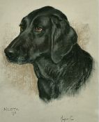 Marjorie Cox (20th Century) A study of a dog's head, pastel, signed and inscribed, 'Nesta 1976',