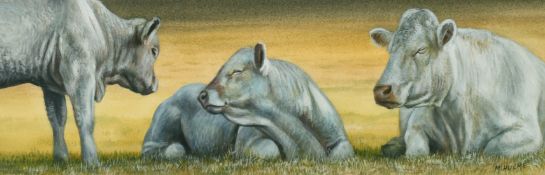 Mark Hulme, Charolais in the shade', watercolour, signed, label verso, 3.75