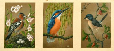 June Taylor (20th Century) 'Triptych of Birds', acrylic on canvas board, one initialed, each 6.75