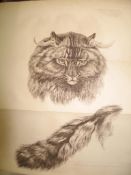 DANIEL (W.B.), Rural Sports, 4 vols., 8vo, 4 engr. titles, 63 plates (incl. d.p. & folding),