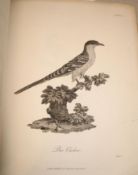 BRUCE & the NILE, a collection of bound plates from vol. 8 of the 