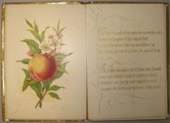 JONES (Owen) Fruits from the Garden and Field, sm. folio, 17 ff. of which 2 black & 15 chromo.