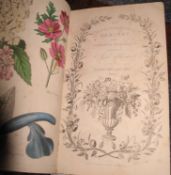 [BOTANY] HARRISON (J.) The Floricultural Cabinet, vol. VII [only], 8vo, hand col'd frontis. & add.