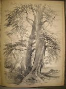 HARDING (J. D.) Elementary Art, 4to, plates, cloth, 3rd Edn., L., 1846 (1, w.a.f.).