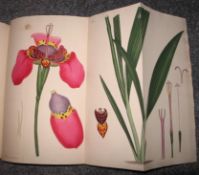 [BOTANY] ANDREWS (H.) Vol. III of the Botanists Repository...of New and Rare Plants, 4to, engr.