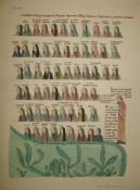 MEDIEVAL IMAGERY, coll'n of h-col'd engravings after C. Engelhardt, 20 x 16 inches, [S], u/f. (7).