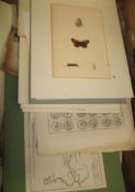PRINTS, misc. 19th c. etc. (1 box).