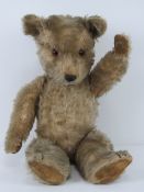 A vintage Teddy bear having plastic nose and eyes and stitch mouth with jointed arms and legs and