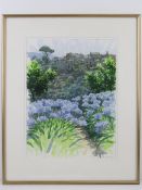 Watercolour, Agapanthus, Tivoli signed R.A. O'Rourke'95, 30.5 x 40cm, framed and mounted.
