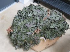 A large British Military camouflage net measuring approx. 28ft by 17ft.
