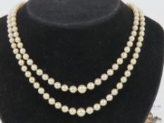 A double strand individually knotted pearl necklace having yellow metal clasp,