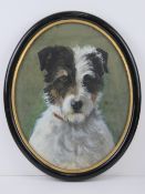A watercolour study of a terrier, signed lower right and dated 1912, in oval frame,