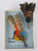 Two Scottish plume brooches one upon ori