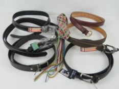 A quantity of assorted belts inc four 'as new' leather belts burgandy size 40,