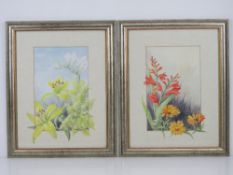 A pair of floral watercolours signed Wanda Sutton being Crocosmia and Gerbera, and Lillies,