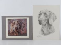 A signed limited edition David Barfield print of a Weimaraner, No 86/500,