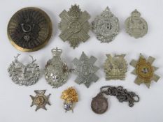 A quantity of assorted large size British regiment cap/helmet badges, approx 11 items, inc Artist's,