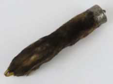Taxidermy; an otter paw having Irish silver mount, hallmarked for Dublin 1909-10,