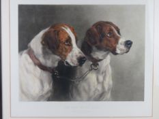 Print; 'The Pick of the Pack' Stormer an