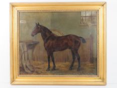 Monogrammed '94' XIX Equine School Possibly Charles Keene ( 1823-1891) Oil on canvas Portrait of