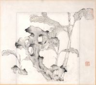 Chinese School Wood block print, depicting Osmanthus blossoms, inscribed 